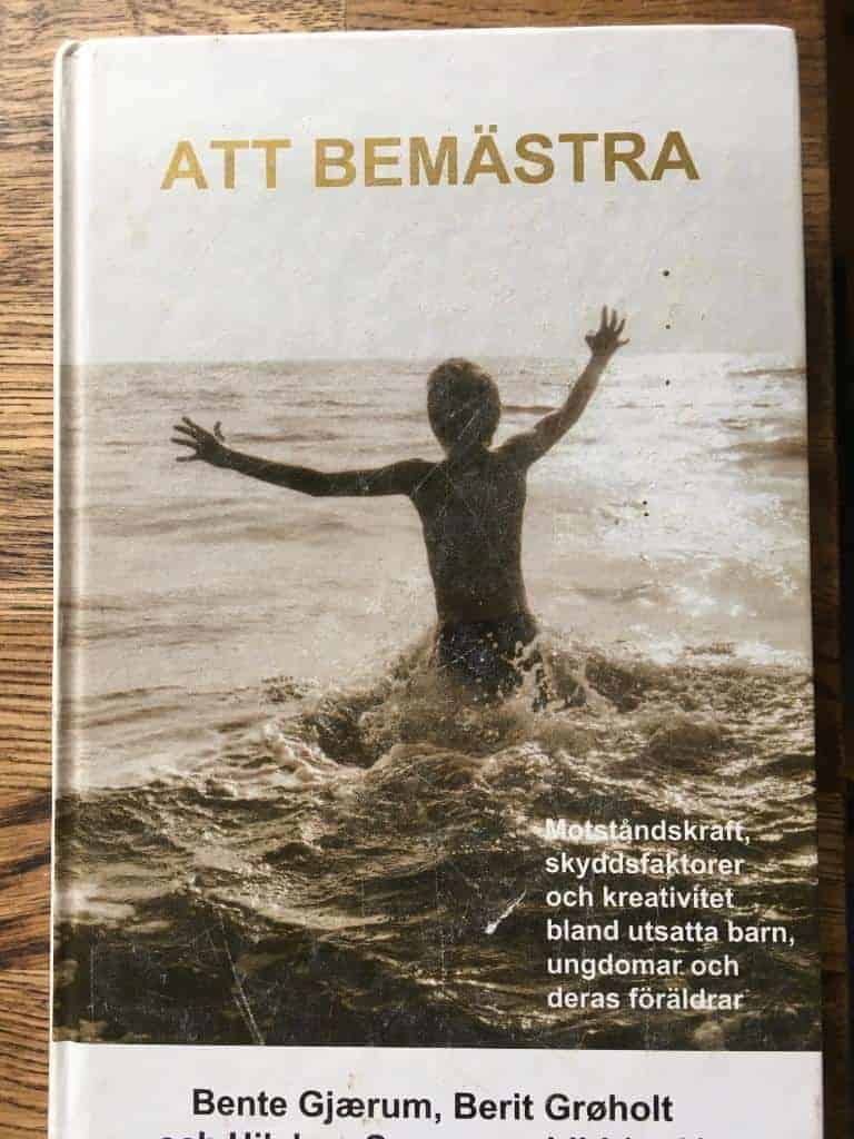 Bente Gjaerum ; Berit Gröholt ; Hilchen Sommerschild : Att bemästra