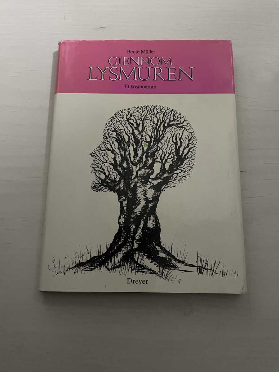 Bente Müller : Gjennom lysmuren