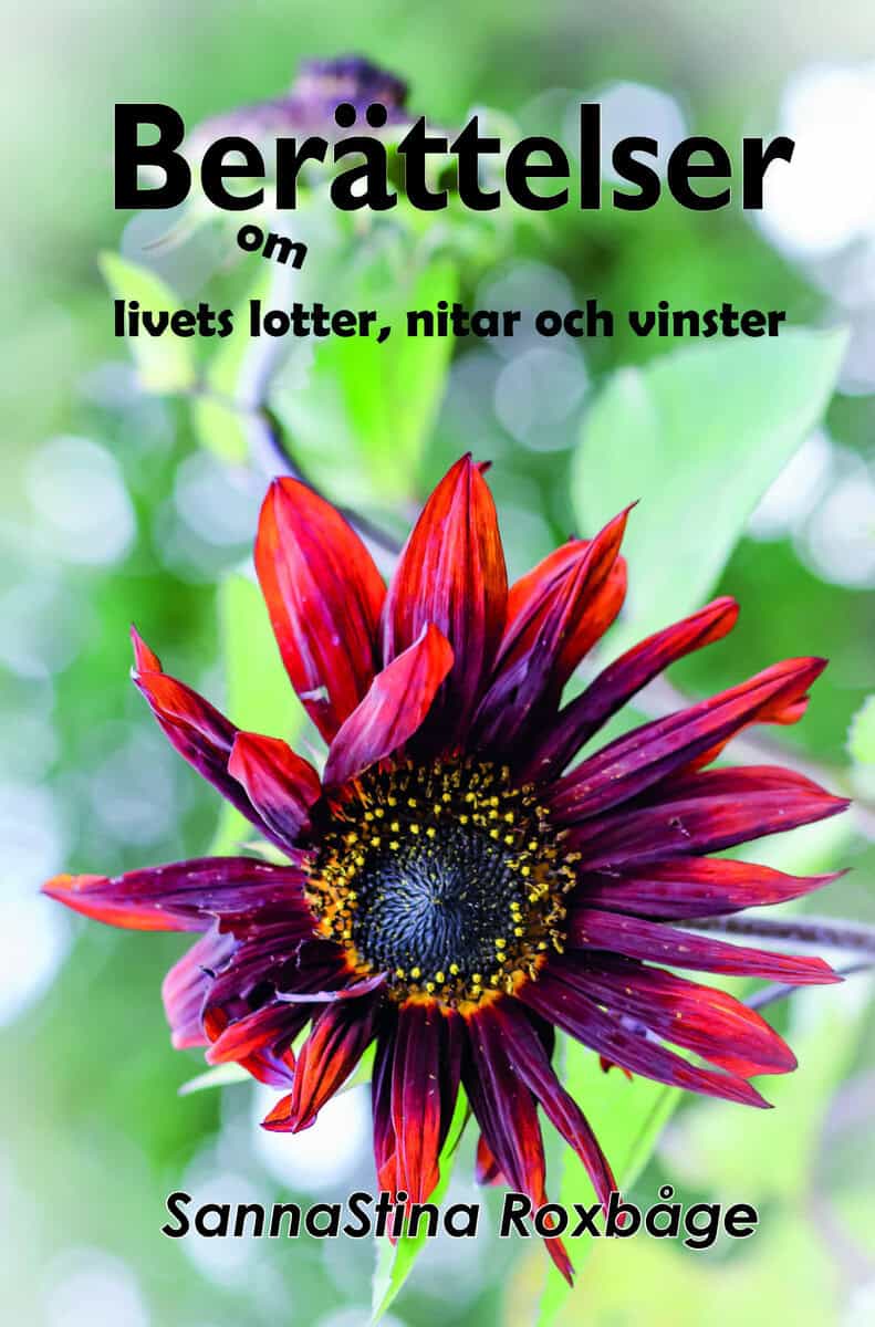 Berättelser om livets lotter, nitar och vinster