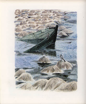 Bergengren, Göran ; Björkman, Gebbe ; Elderud, Christer : Tåkern