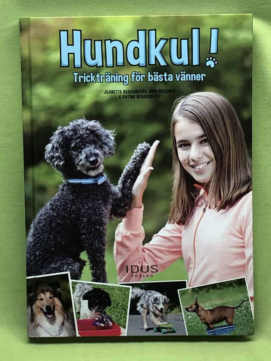 Bergenstav, Jeanette, Roegner, Nina : Hundkul!