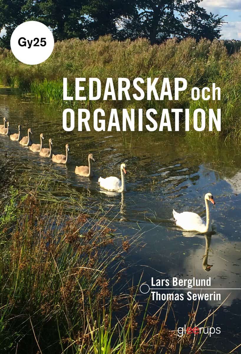 Berglund, Lars; Sewerin, Thomas : Ledarskap och organisation, bok, Gy25