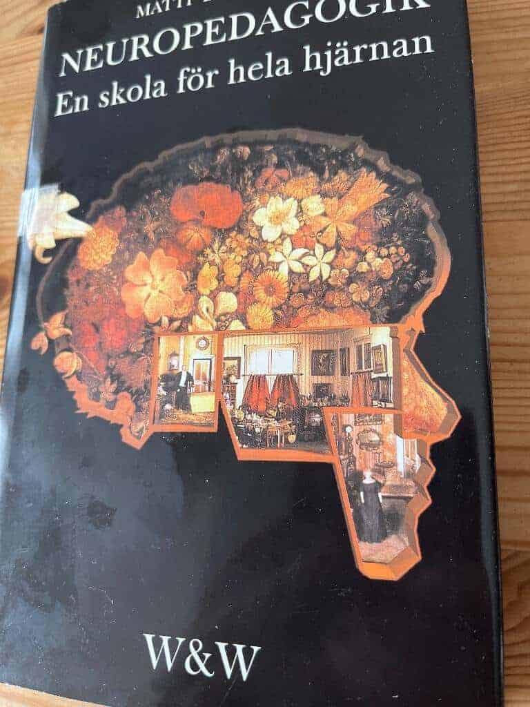 Bergström, Matti ; Söderlind, Stig : Neuropedagogik