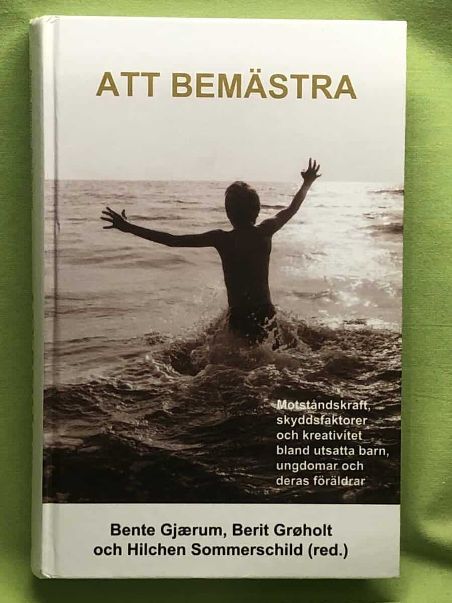 Bente Gjaerum, Berit Gröholt, Hilchen Sommerschild : Att bemästra