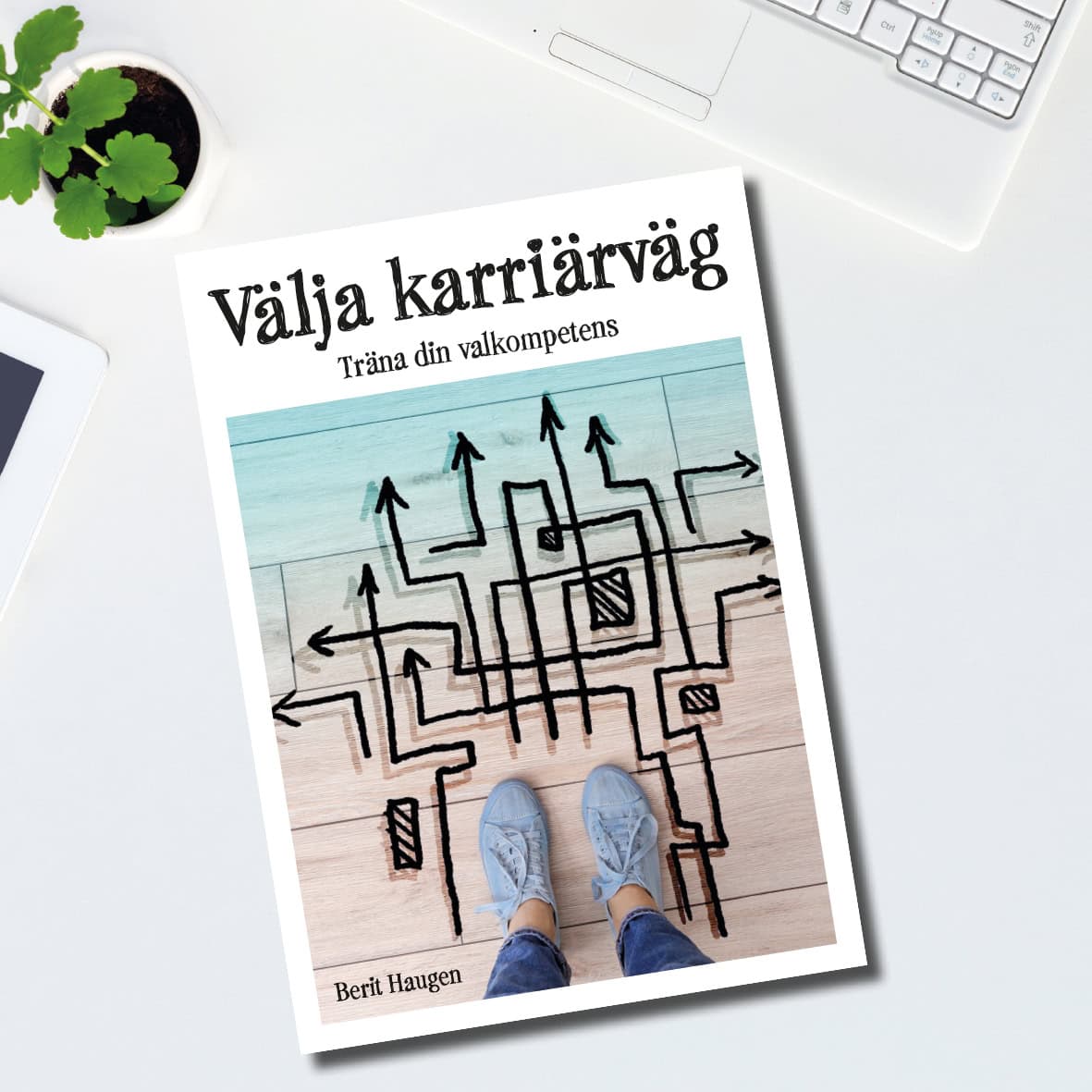 Berit Haugen : Välja karriärväg – Träna din valkompetens
