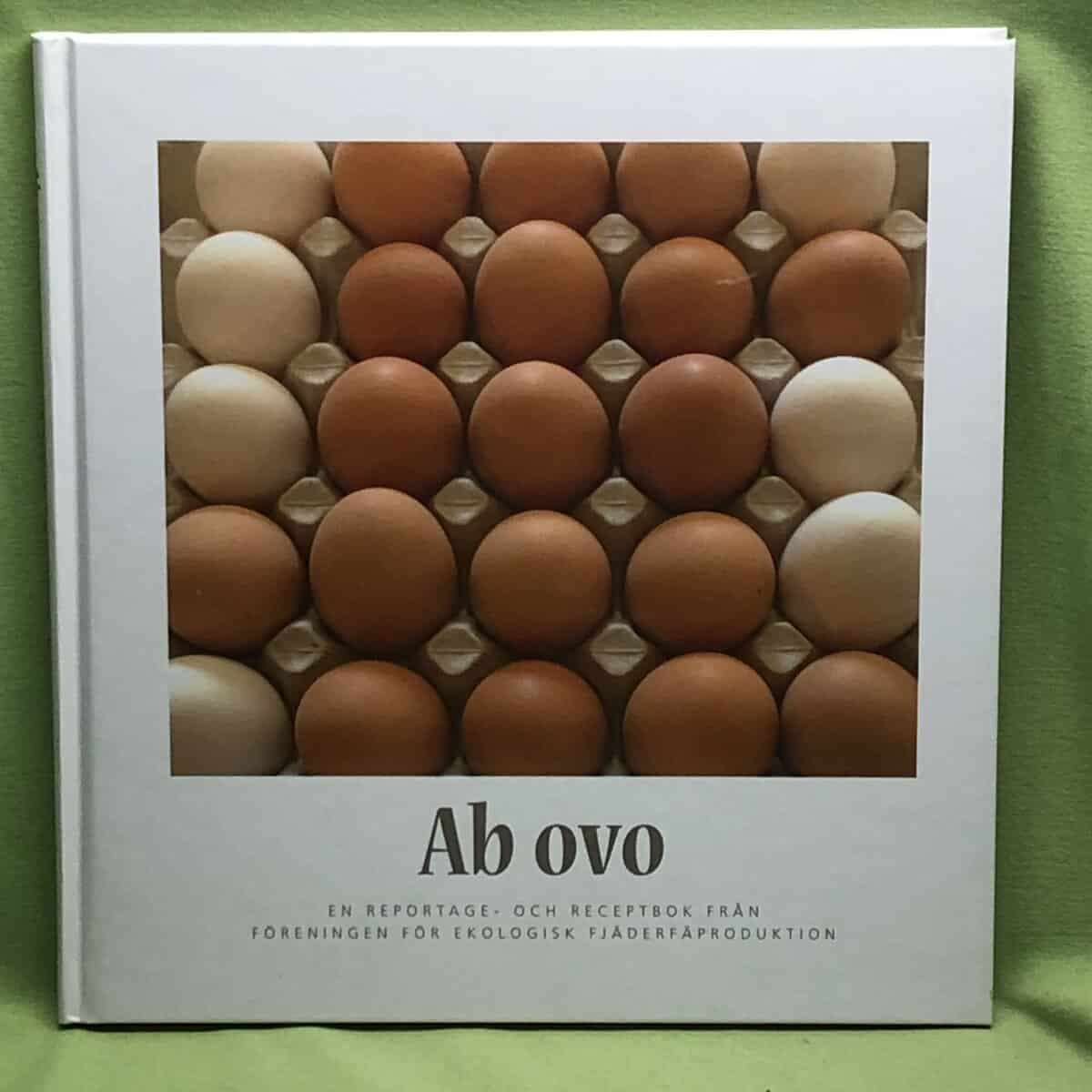 Berit Stridh : Ab ovo