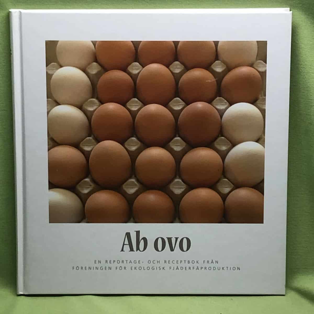 Berit Stridh : Ab ovo