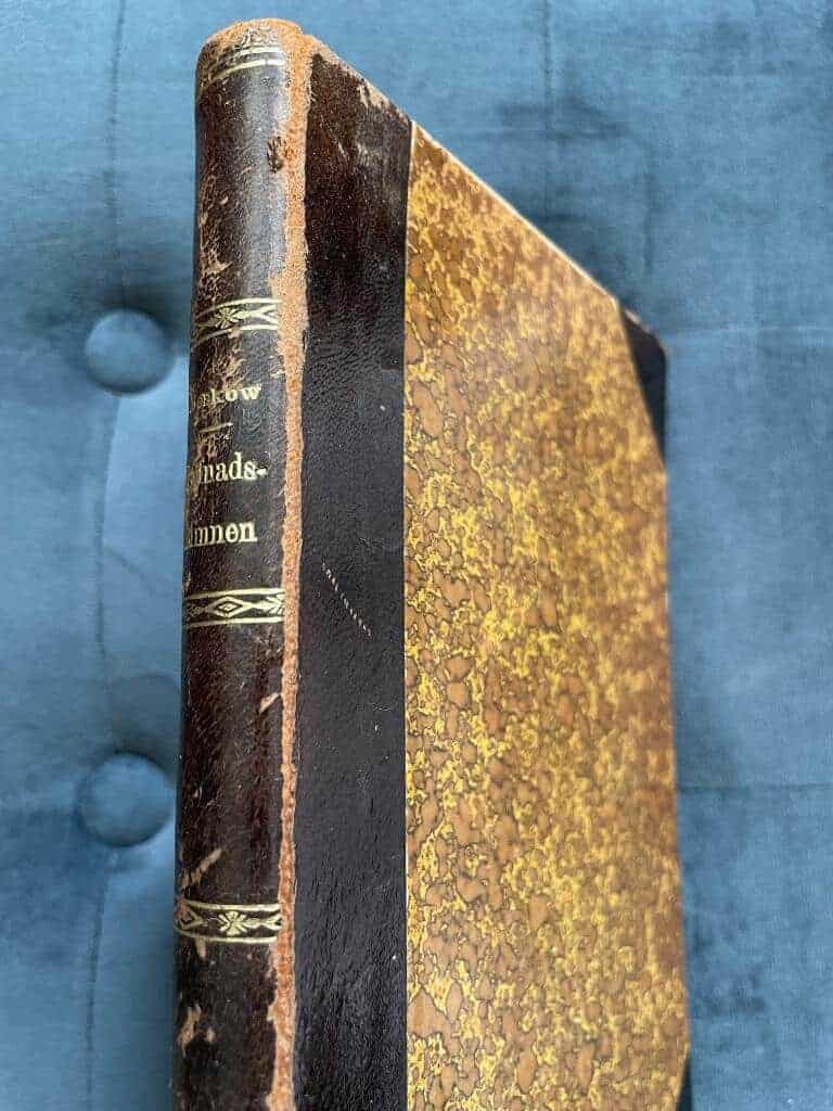 Bernh. v. Beskow : Lefnadsminnen
