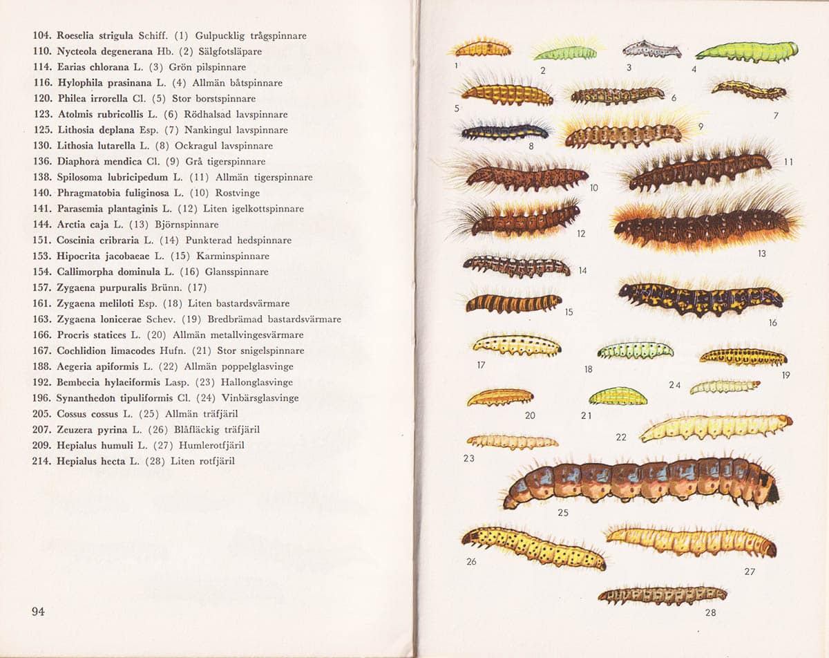 Bertil Gullander : Nordens svärmare och spinnare