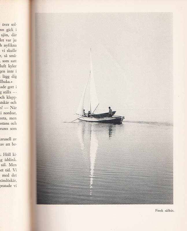 Bertil Haglund : Viltskog