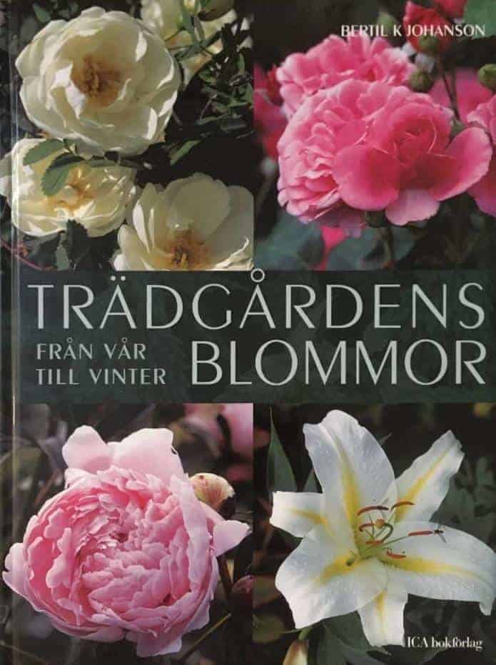 Bertil K Johanson : Trädgårdens blommor