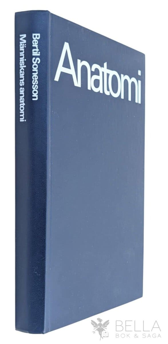 Bertil Sonesson : Anatomi