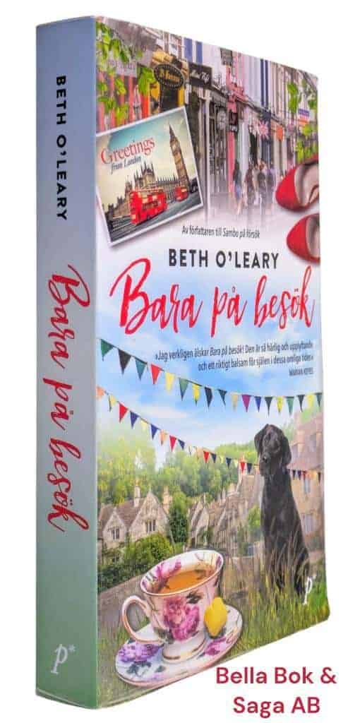 Beth O'Leary : Bara på besök