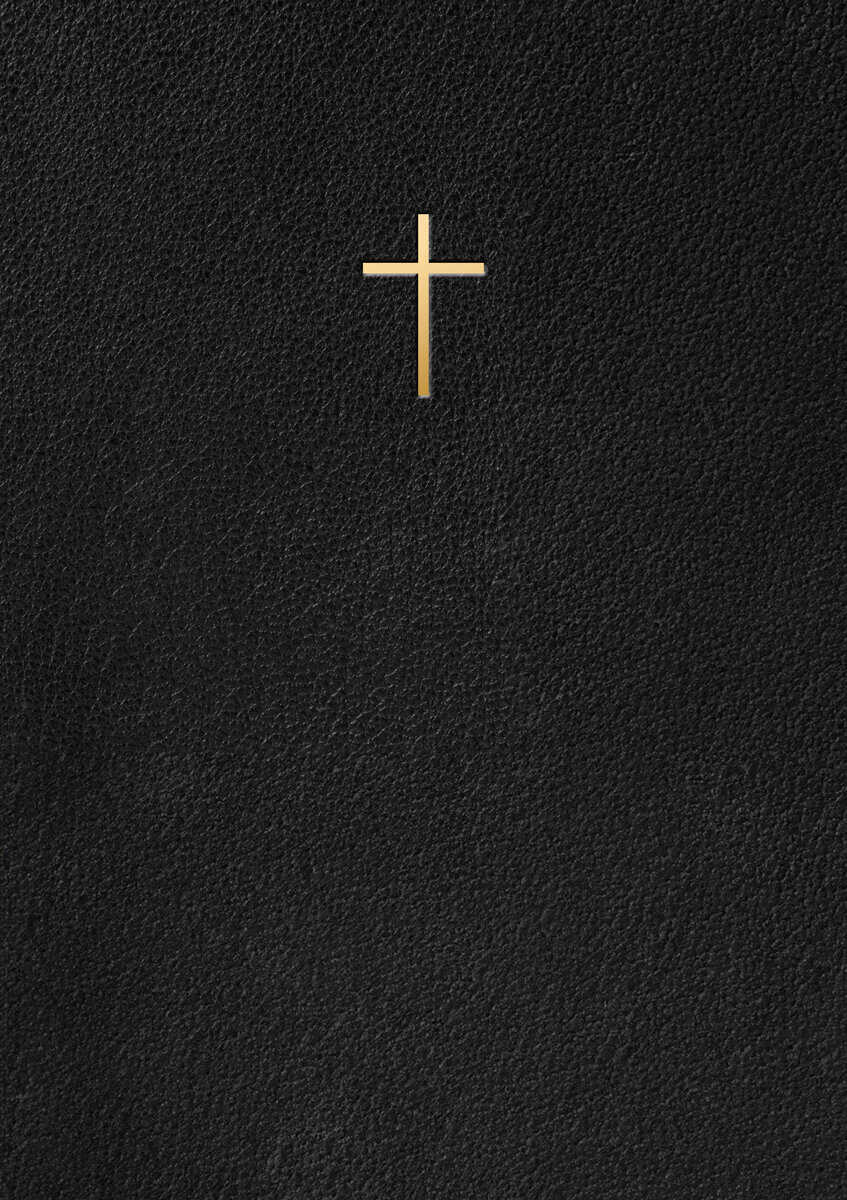 Bibel 2000 : Svart Konstskinn