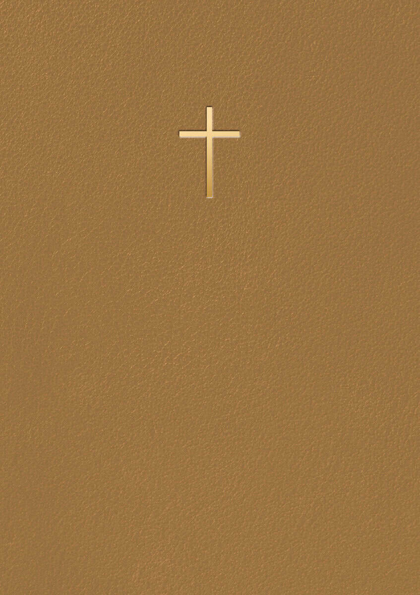 Bibel 2026 Bärnsten konstskinn