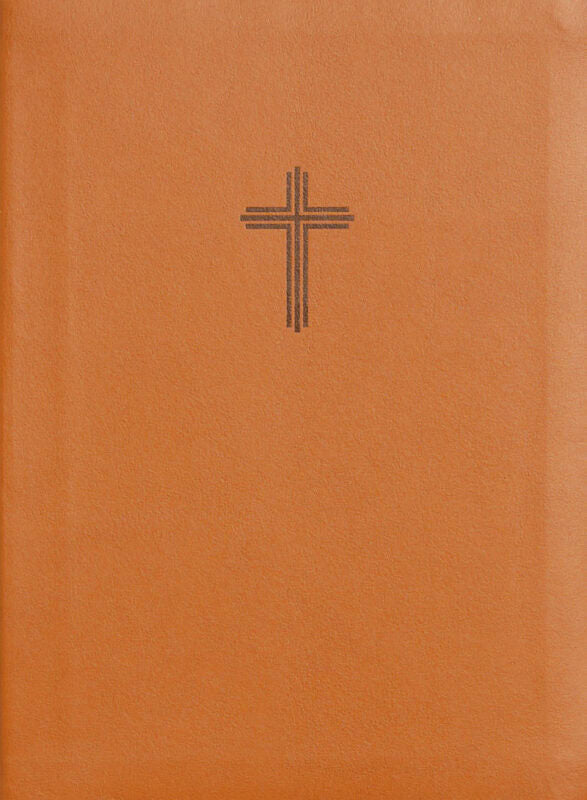 Bibel 2026 (honung) - konstskinn utan noter