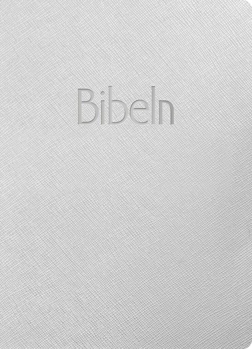 Bibel 2026 silver