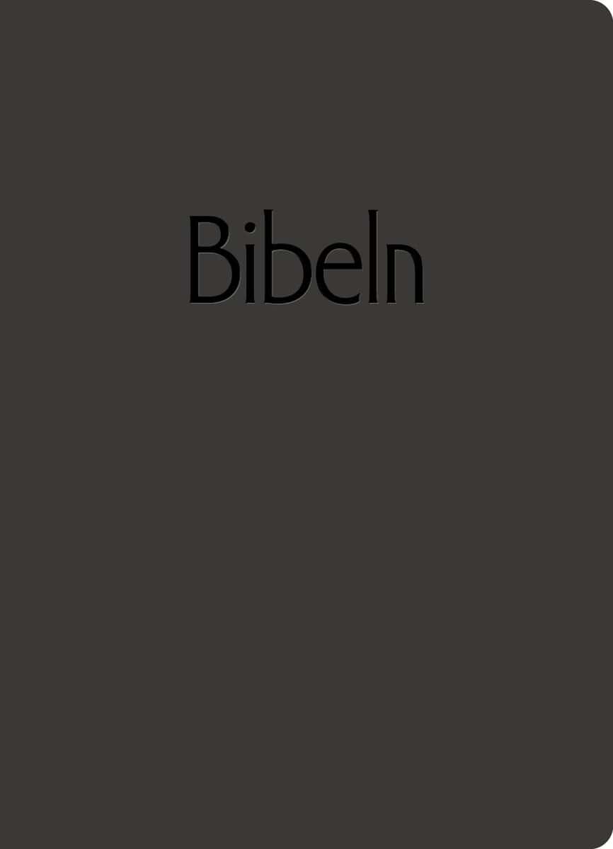 Bibel 2026 svart
