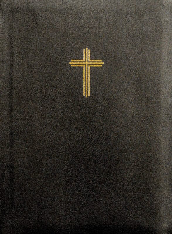 Bibel 2026 (svart) konstskinn med noter