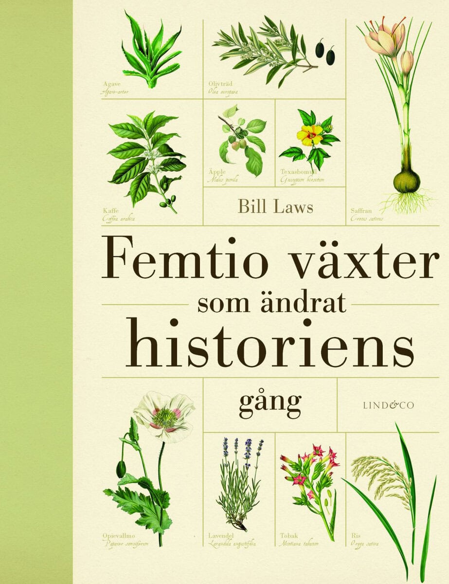 Bill Laws : Femtio växter som ändrat historiens gång
