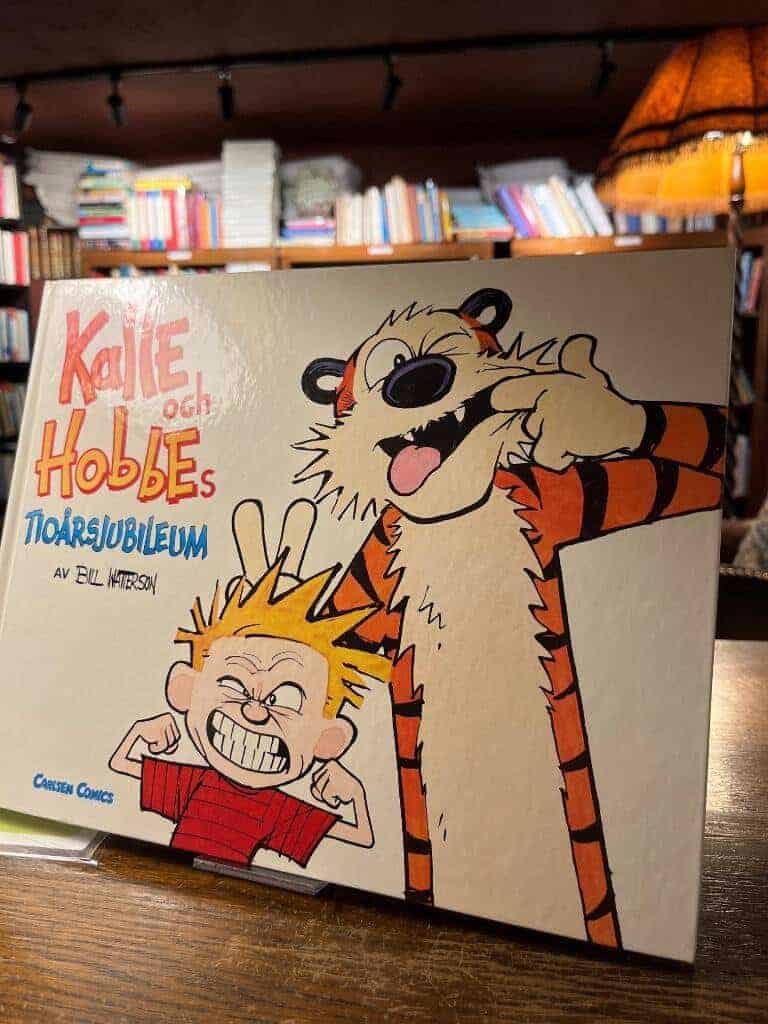 Bill Watterson : Kalle och Hobbes tioårsjubileum