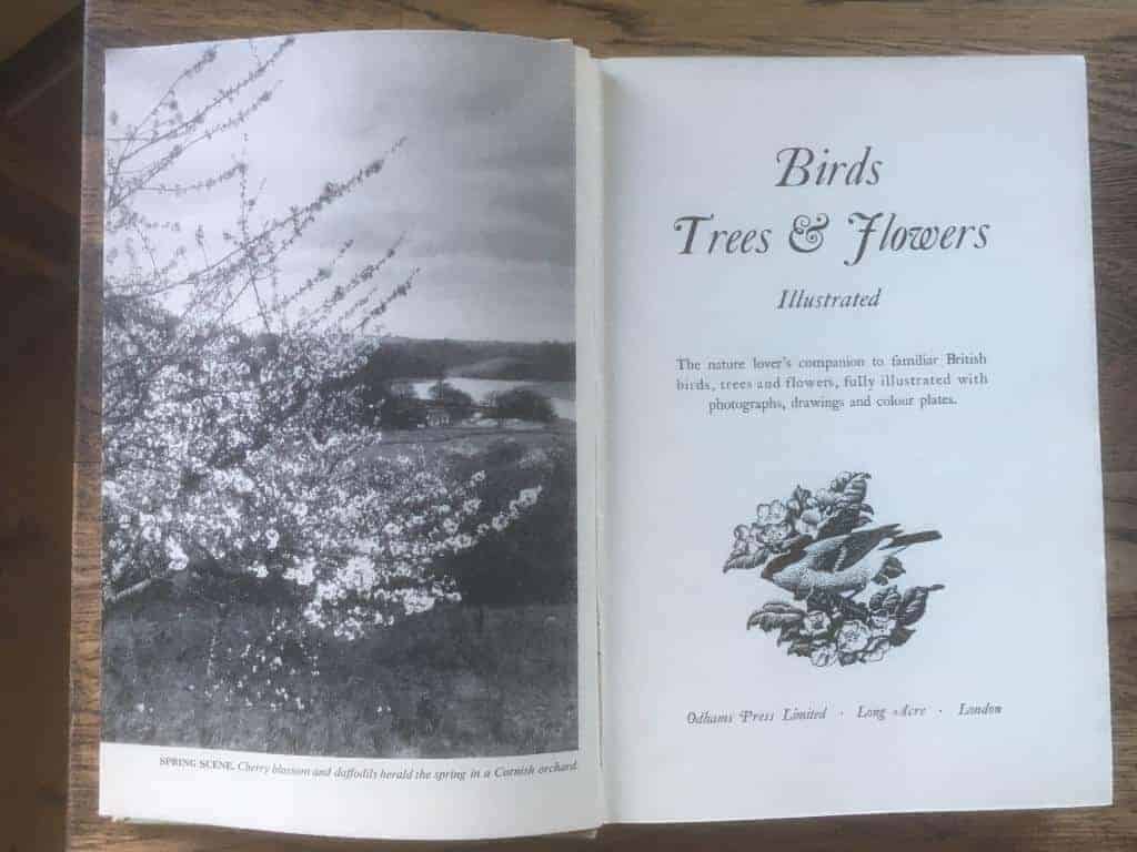 Birds Trees and Flowers. Illustrated