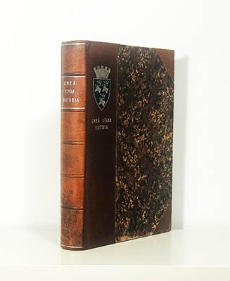 Birger Steckzén : Umeå stads historia 1588-1888. Av Birger Steckzén enligt uppdrag av Umeå stad