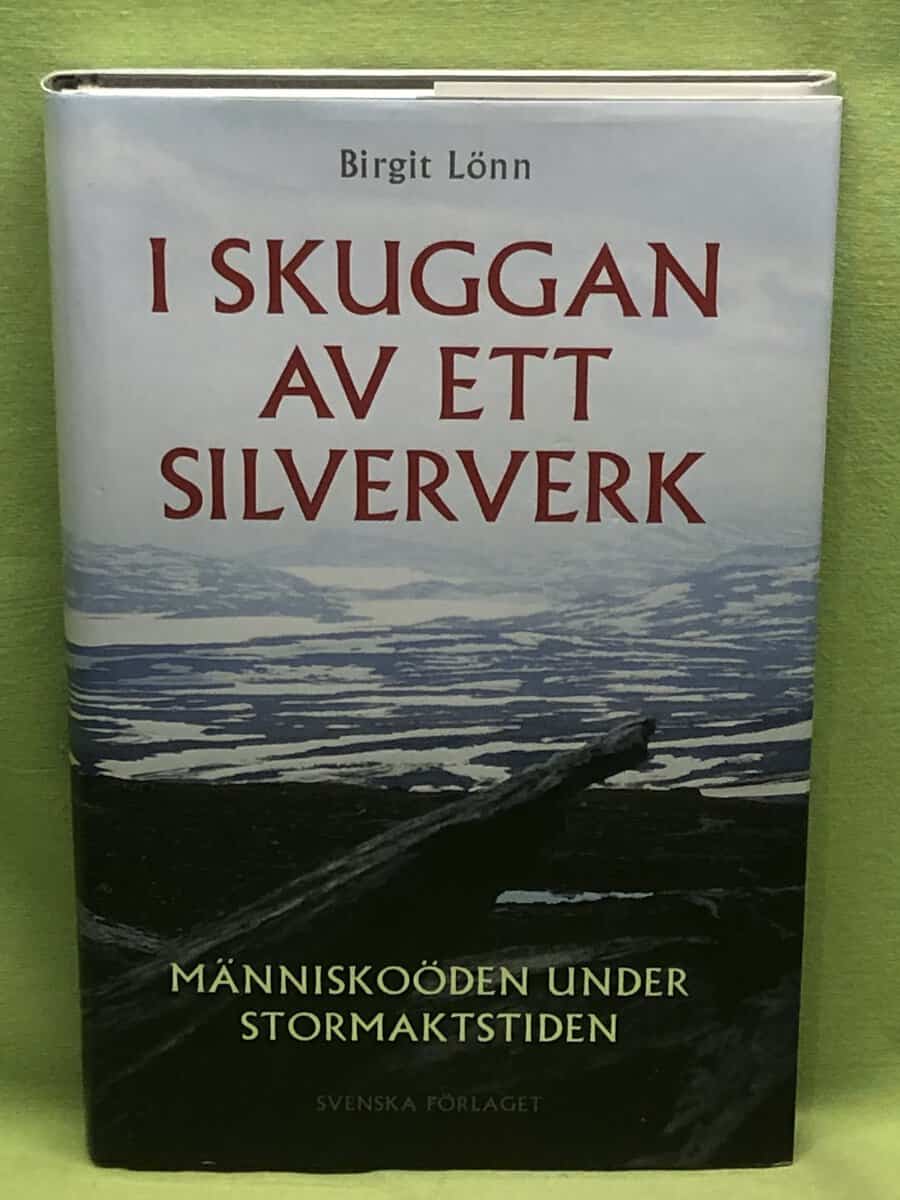 Birgit Lönn : I skuggan av ett silververk