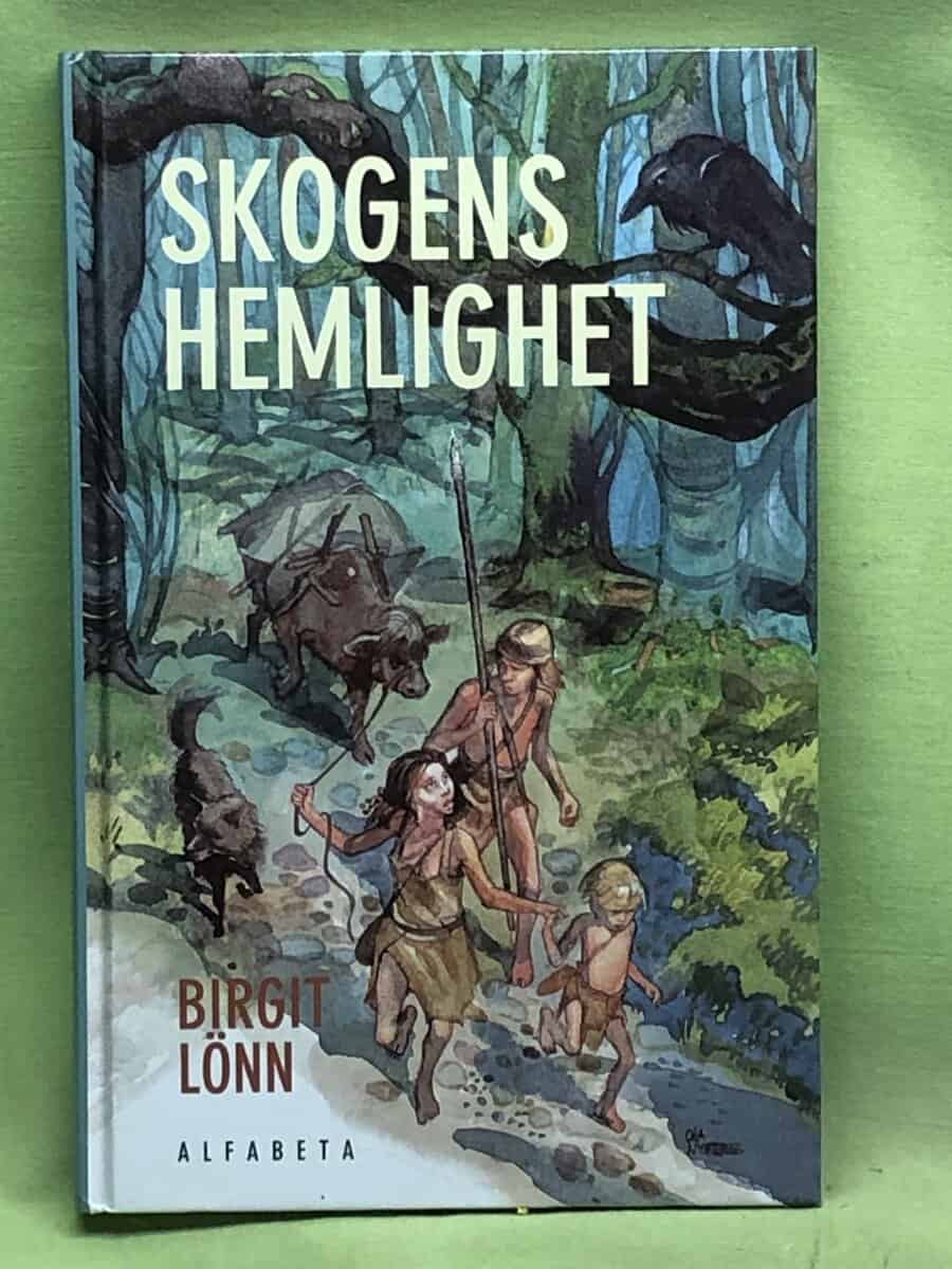 Birgit Lönn : Skogens hemlighet