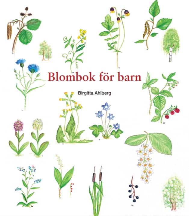 Birgitta Ahlberg : Blombok för barn