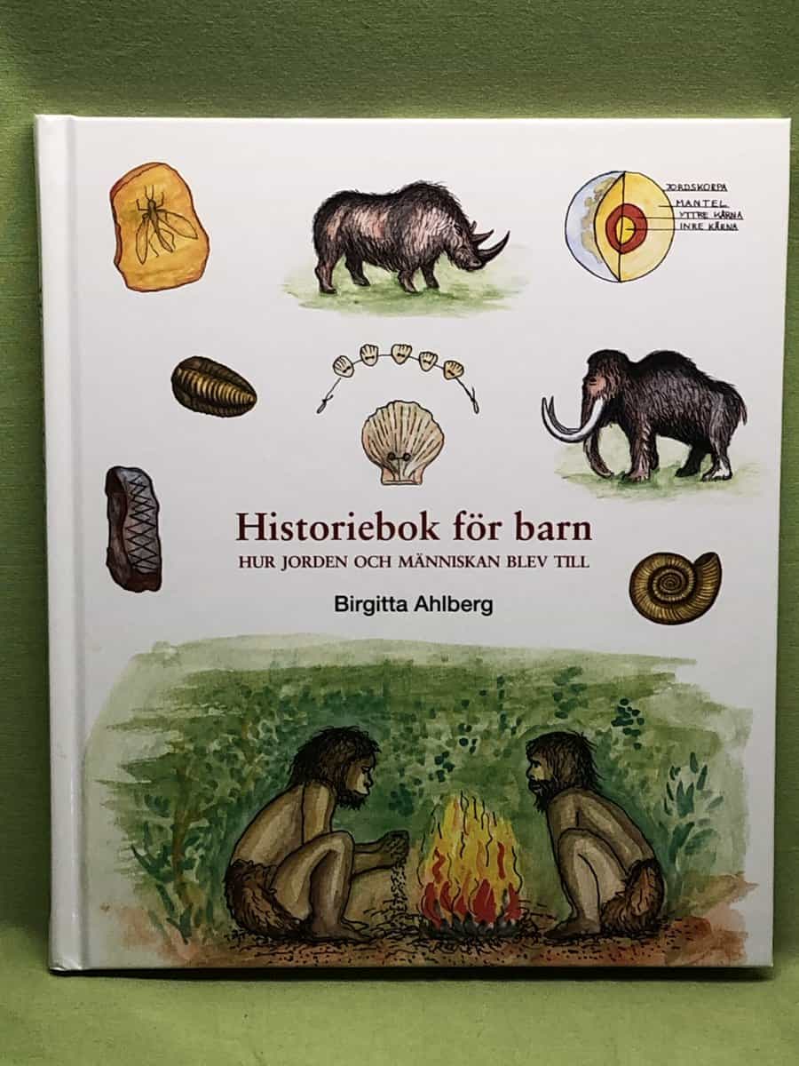 Birgitta Ahlberg : Historiebok för barn - hur jorden och människan blev till