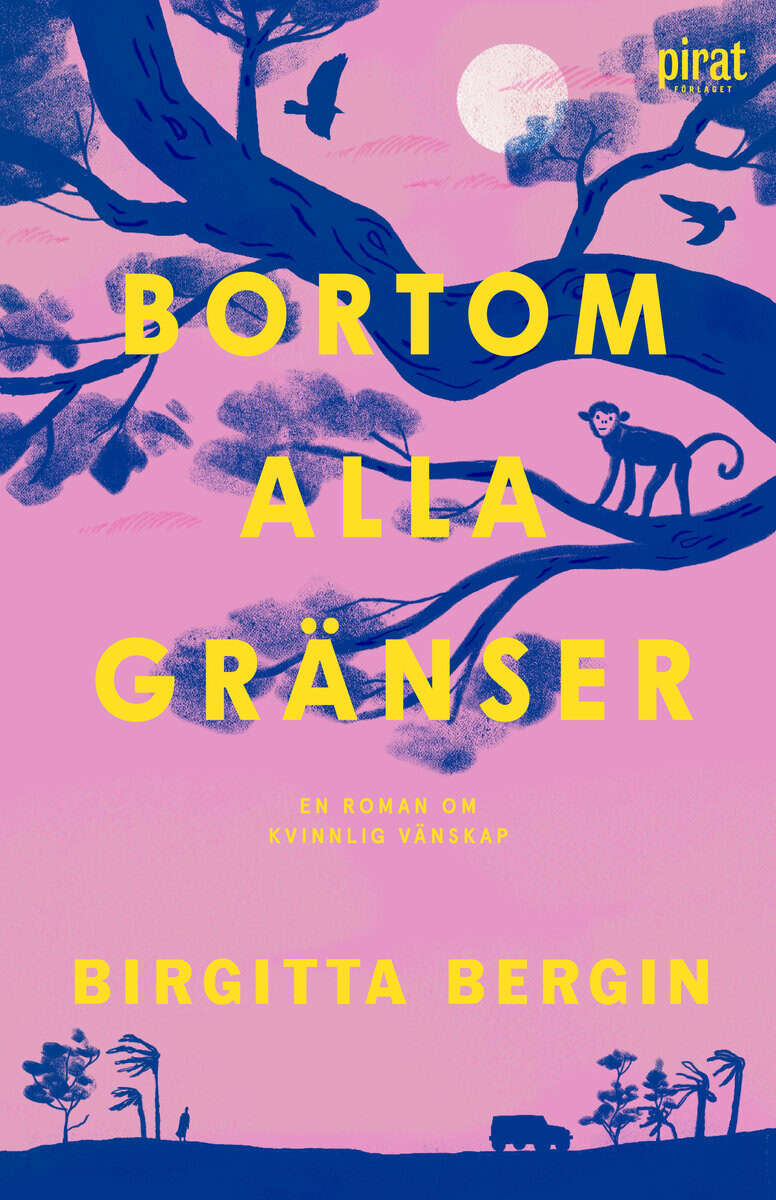Birgitta Bergin : Bortom alla gränser