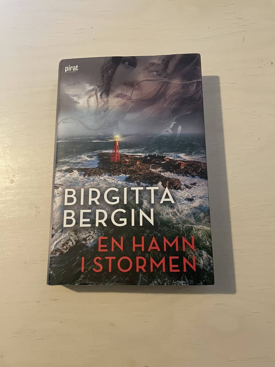 Birgitta Bergin : En hamn i stormen