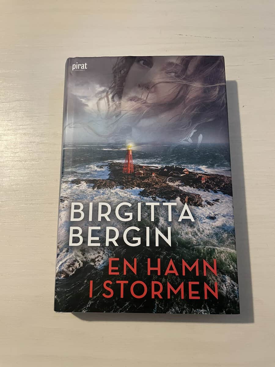 Birgitta Bergin : En hamn i stormen