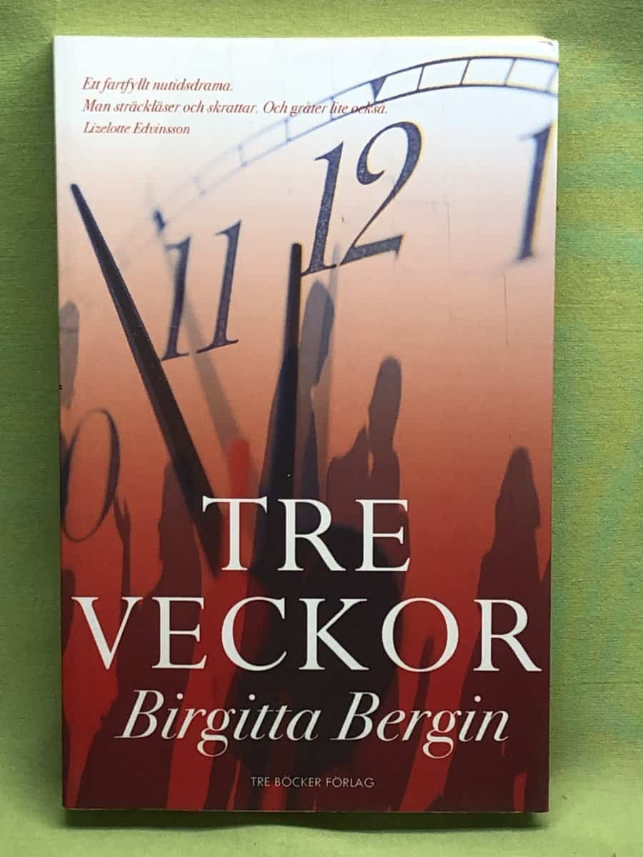 Birgitta Bergin : Tre veckor