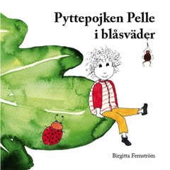 Birgitta Fernström : Pyttepojken Pelle i blåsväder : en saga för små och stora barn