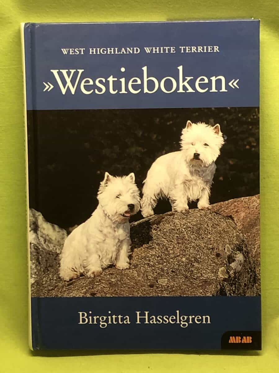 Birgitta Hasselgren : West highland white terrier