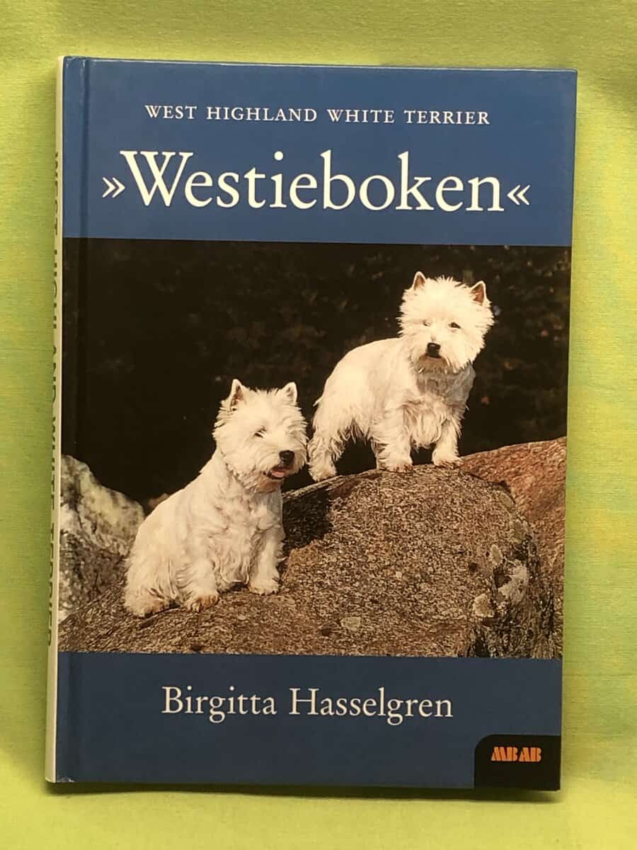 Birgitta Hasselgren : West highland white terrier