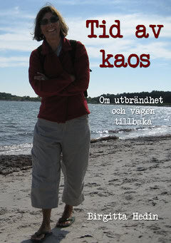 Birgitta Hedin : Tid av kaos : om utbrändhet och vägen tillbaka