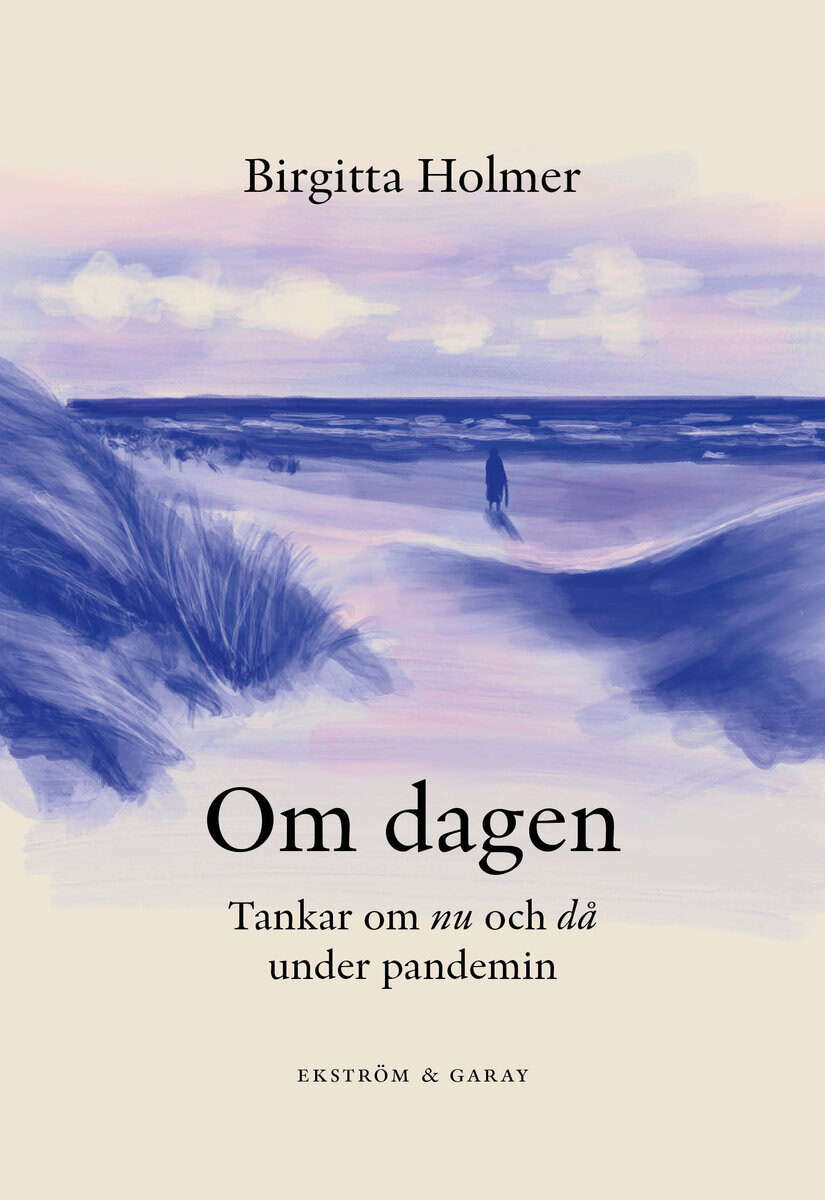 Birgitta Holmer : Om dagen