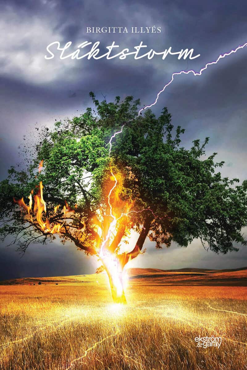 Birgitta Illyés : Släktstorm