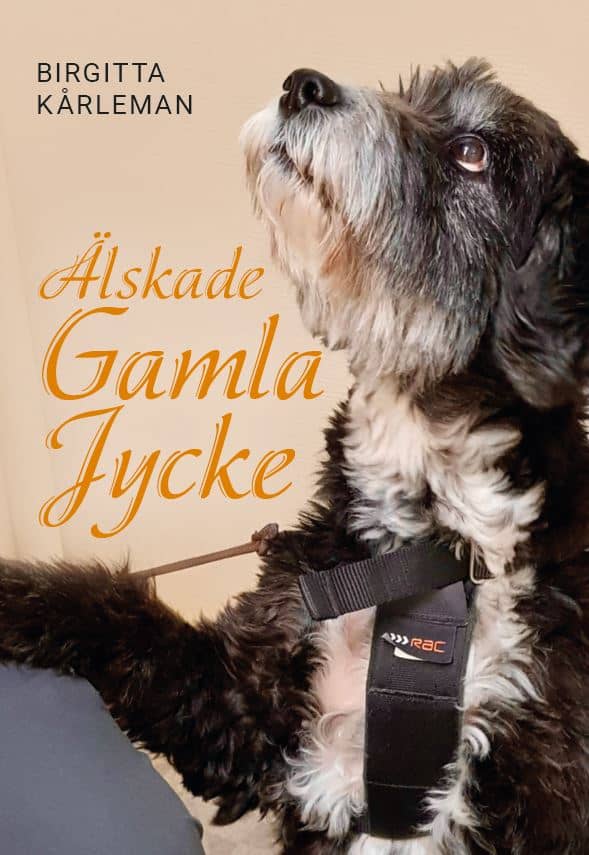 Birgitta Kårleman : Älskade gamla jycke