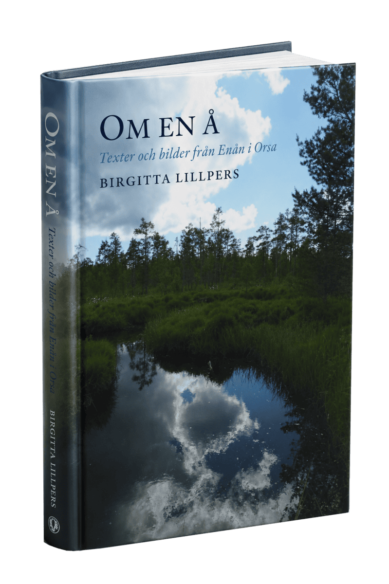 Birgitta Lillpers : Om en å