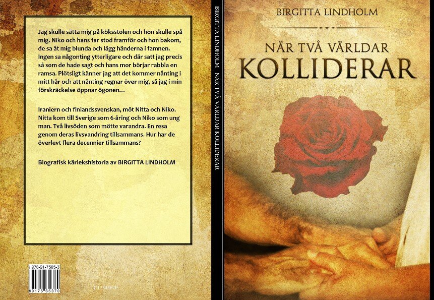 Birgitta Lindholm : När två världar kolliderar