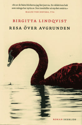 Birgitta Lindqvist : Resa över avgrunden