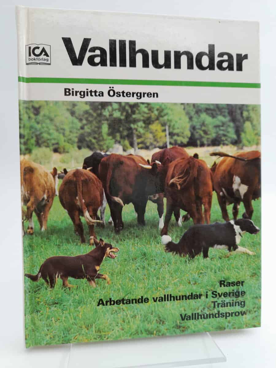 Birgitta Östergren : Vallhundar