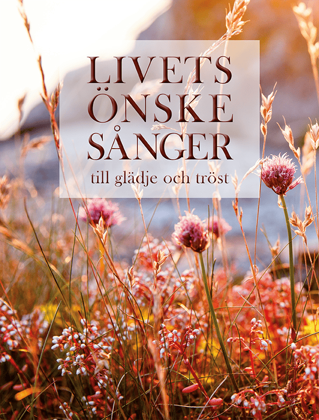 Birgitta Sacilotto : Livets önskesånger