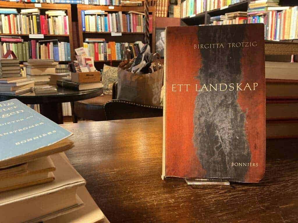 Birgitta Trotzig : Ett landskap