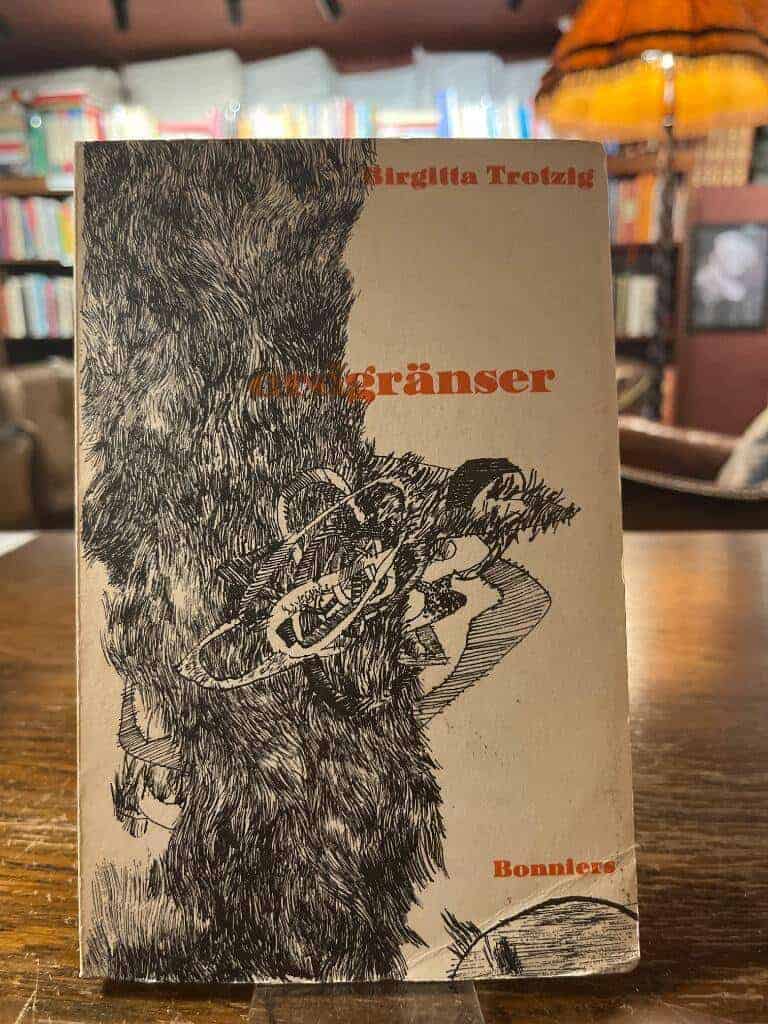 Birgitta Trotzig : Ordgränser