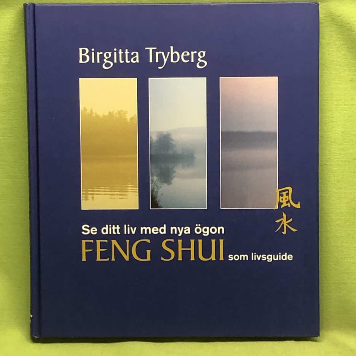 Birgitta Tryberg : Se ditt liv med nya ögon